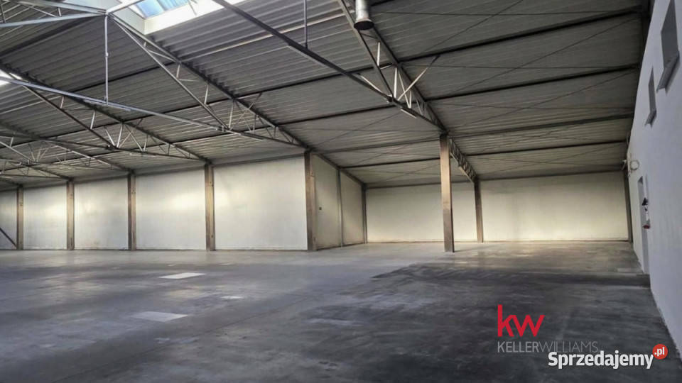 sprzedaży lokalu Wągrowiec 3282 metry Sprzedaż
