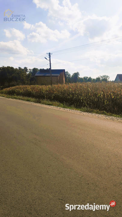 Sprzedam działki rolne z wydanymi WZ w Juliopolu Juliopol