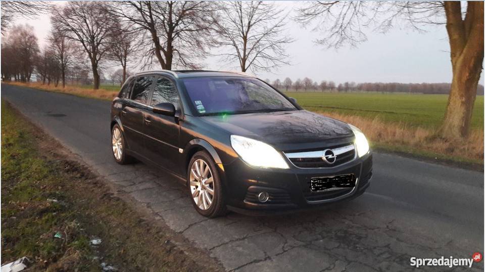 Opel Signum V6 CDTI 2005 Lift Full akcyzie Szczecin