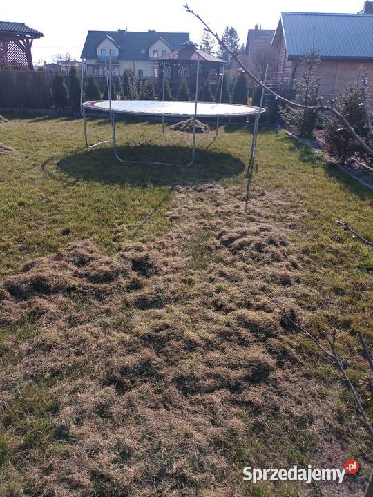 Wertykulacja trawników pomorskie Lębork