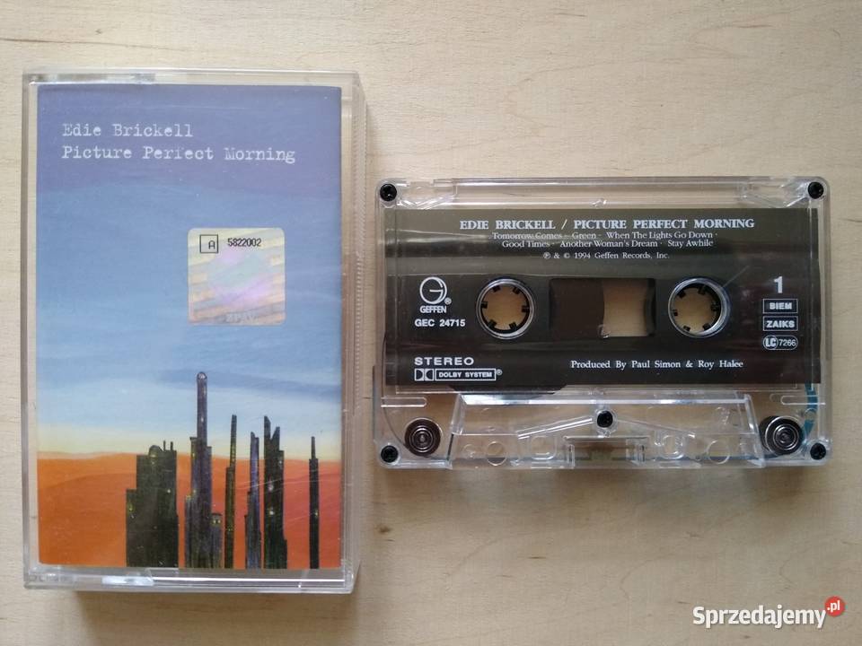 EDIE BRICKELL PICTURE PERFECT MORNING Gdańsk