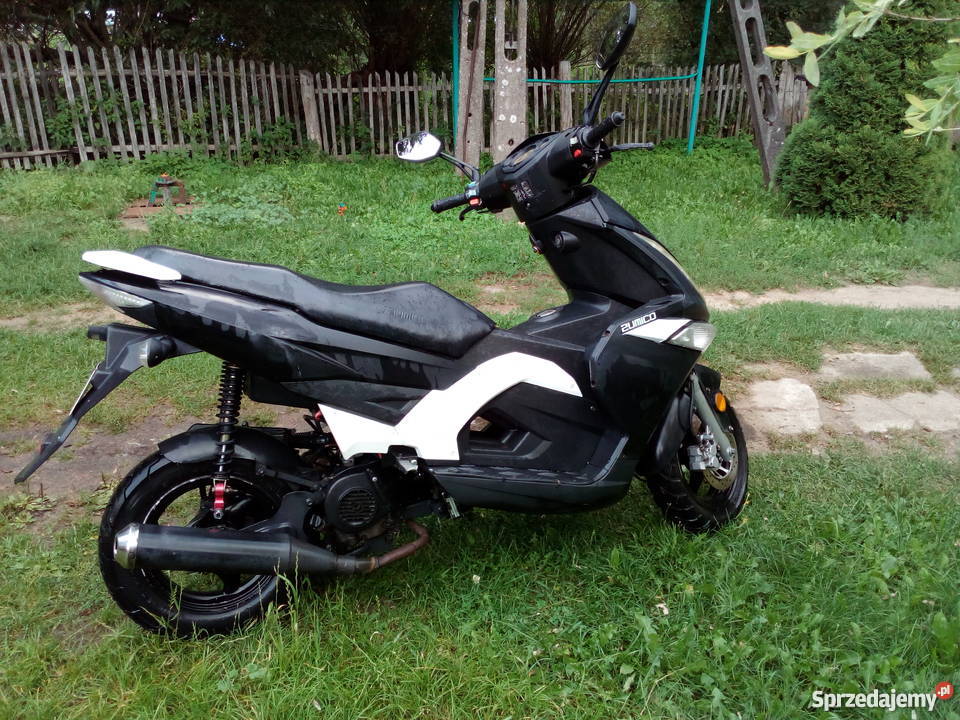 Zumico Avatar Okonek