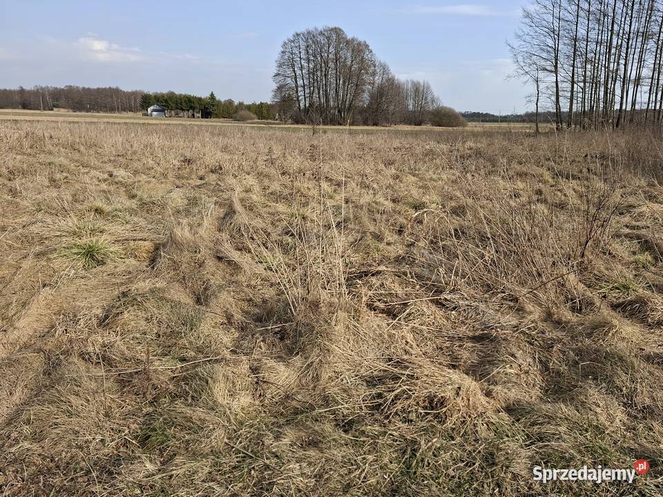 Syndyk sprzeda 12 udziału w nieruchomości Dzierżązna sprzedam