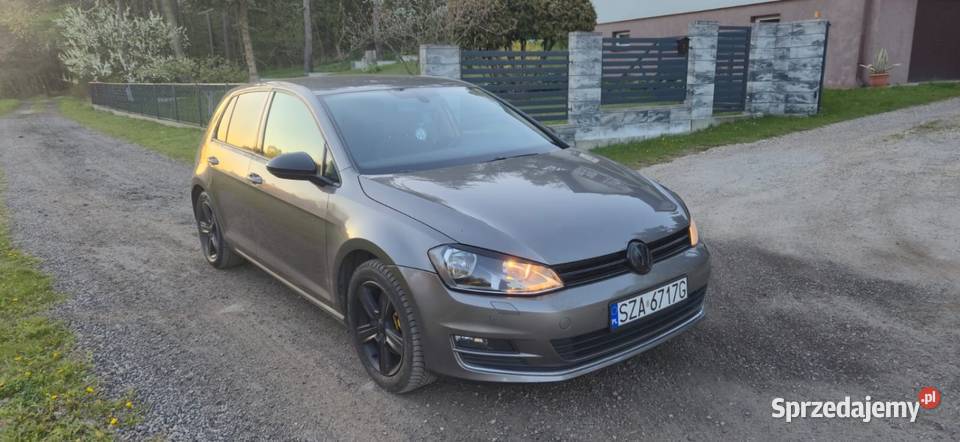 Golf 7 20 TDI 150 Pilica