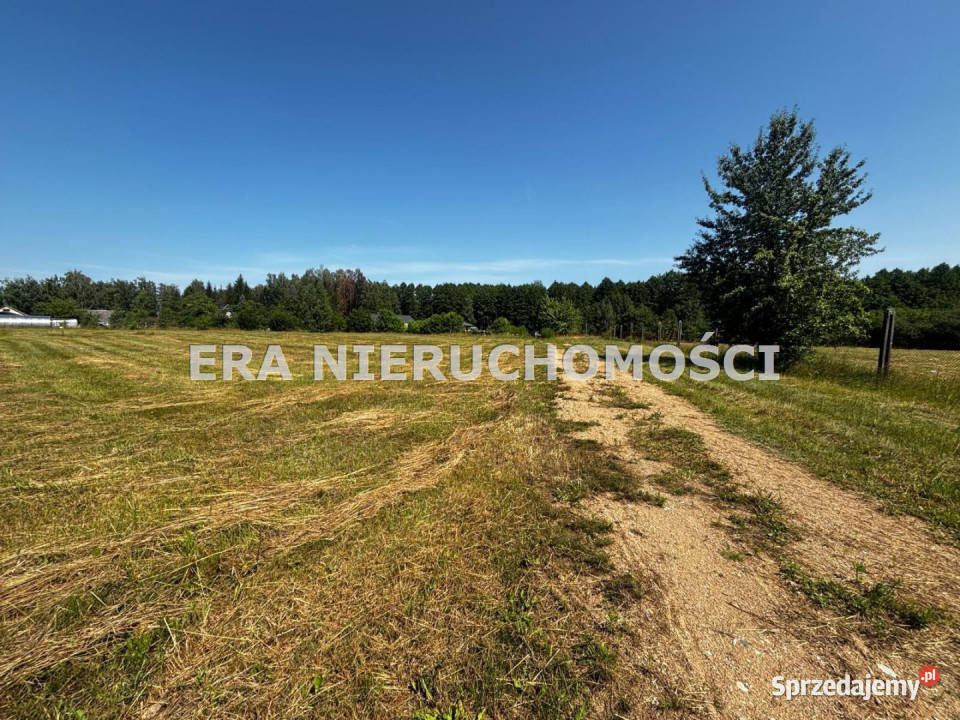 Grunt 1689m2 Rogowo Nieruchomości