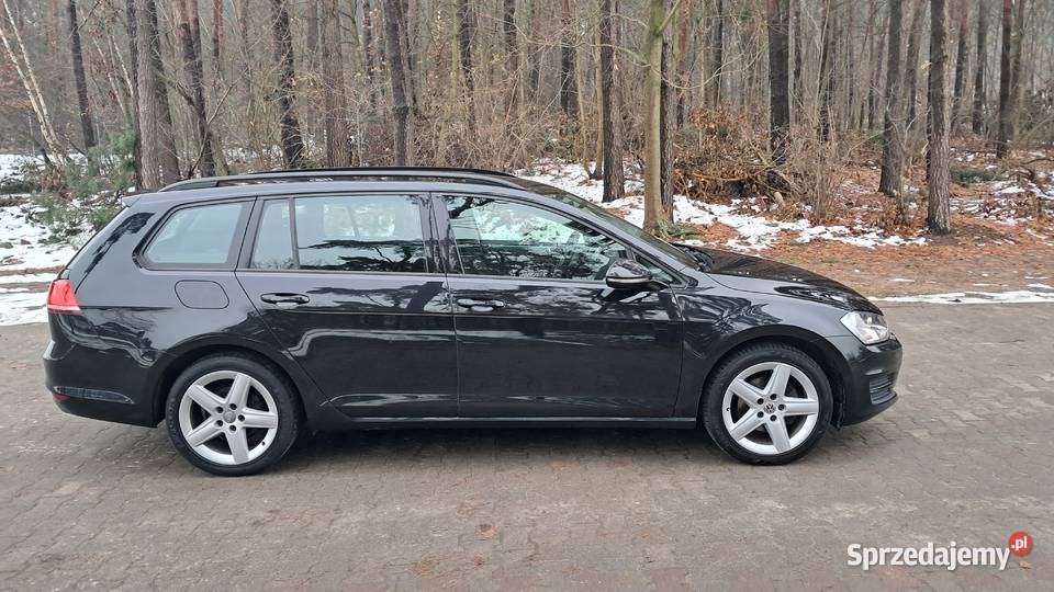 Okazja śliczny golf 16 TDI Rok produkcji 2017 wielkopolskie Żerków