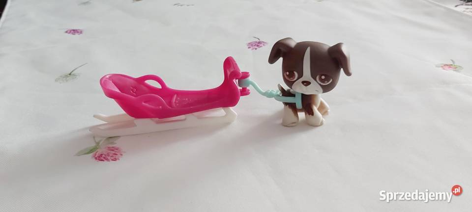 Piesek z sankami Hasbro zestaw warmińsko-mazurskie Braniewo