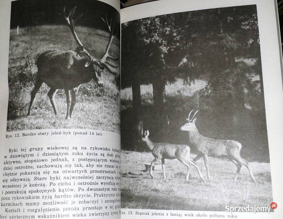 Określenie wieku zwierzyny Josef Lochman Pozostałe Chełm