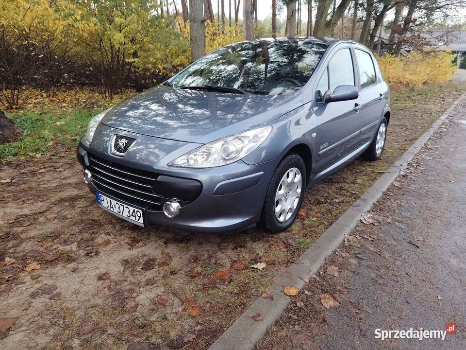 Peugeot 307 16 2006 szary Wilkowyja sprzedam