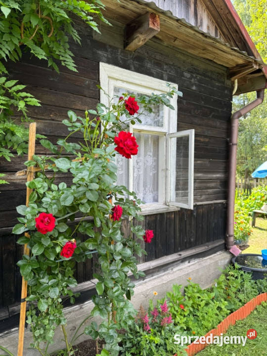 Siedlisko rzeką w wyjątkowej części Podlasia podlaskie Lewkowo Stare sprzedam