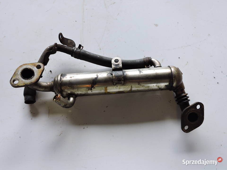 Chłodnica spalin Opel astra H 17 Diesel Myszków