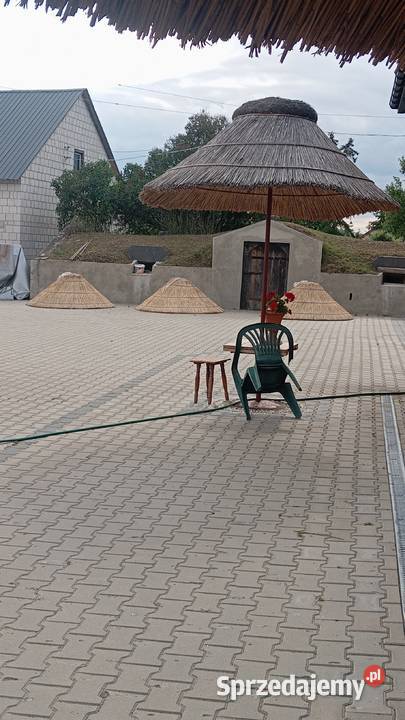 Parosol z trzcinyogródaltanka trzcina Jeżewo Stare