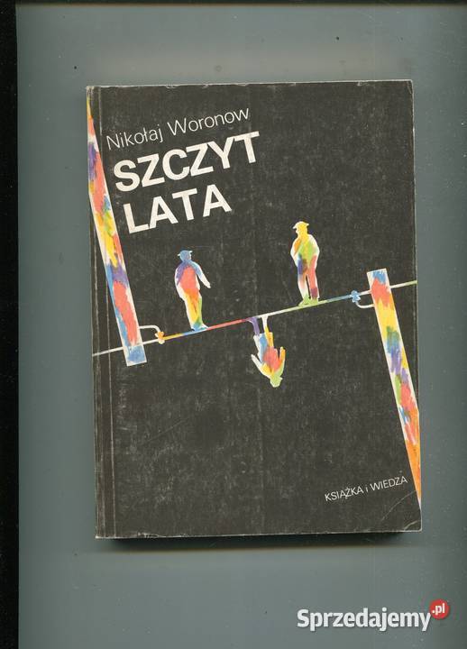 Szczyt lata Próba powieści publicystycznej Szczecin sprzedam