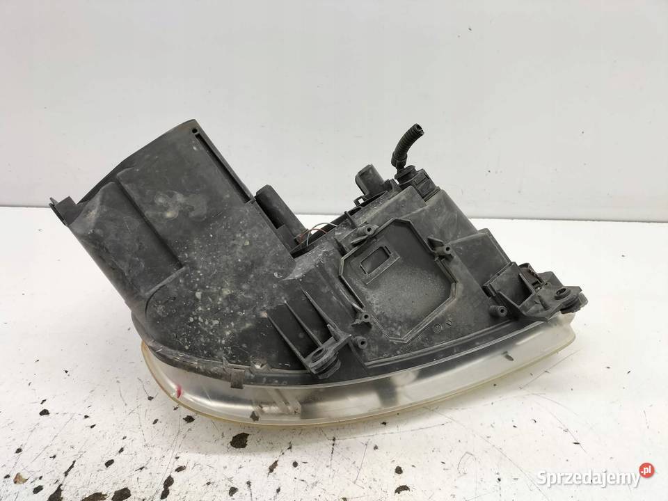 LAMPA PRZÓD LEWA EU 1T0941005F VW Volkswagen Rok produkcji 2004 Lampy przednie