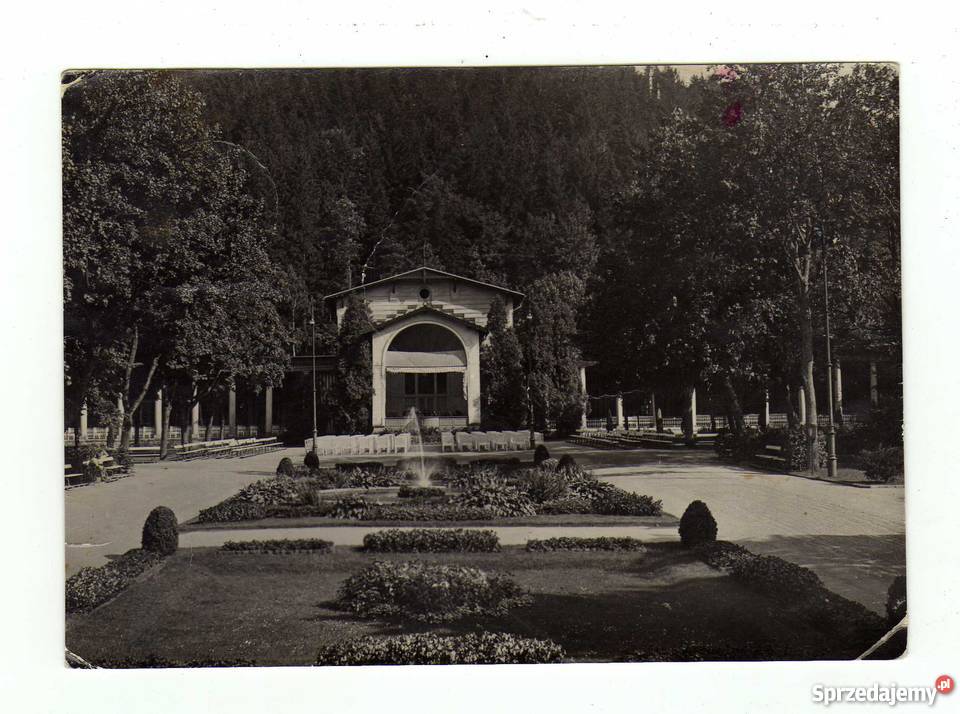 DUSZNIKI ZDRÓJ PARK ZDROJOWY Krynki sprzedam