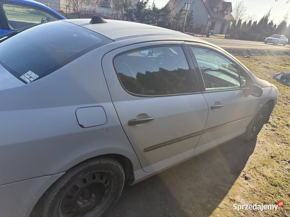 Peugeot 407 mazowieckie Płock