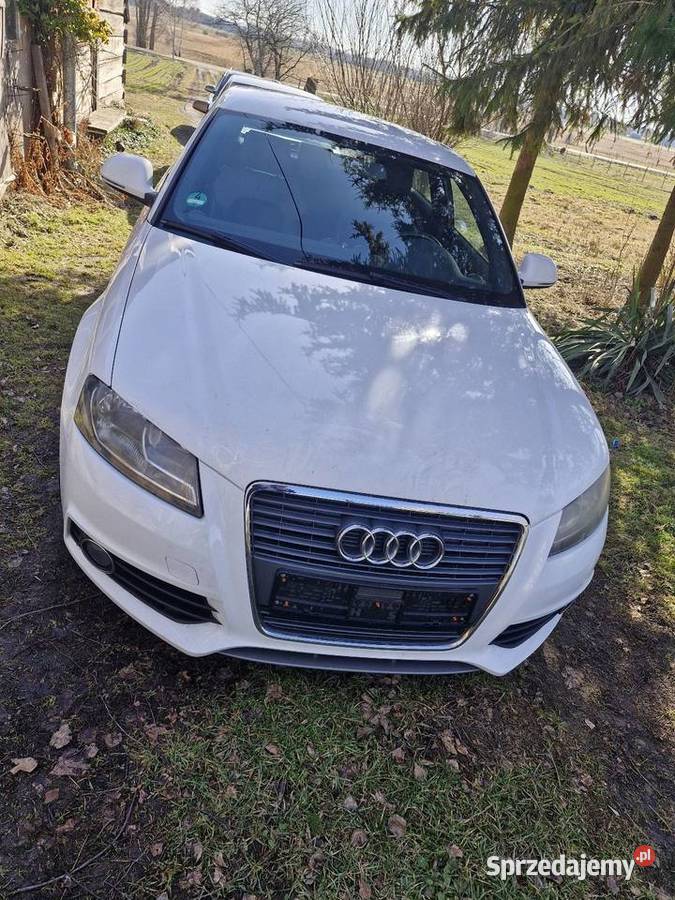 Audi a3 8p 18 Zamość