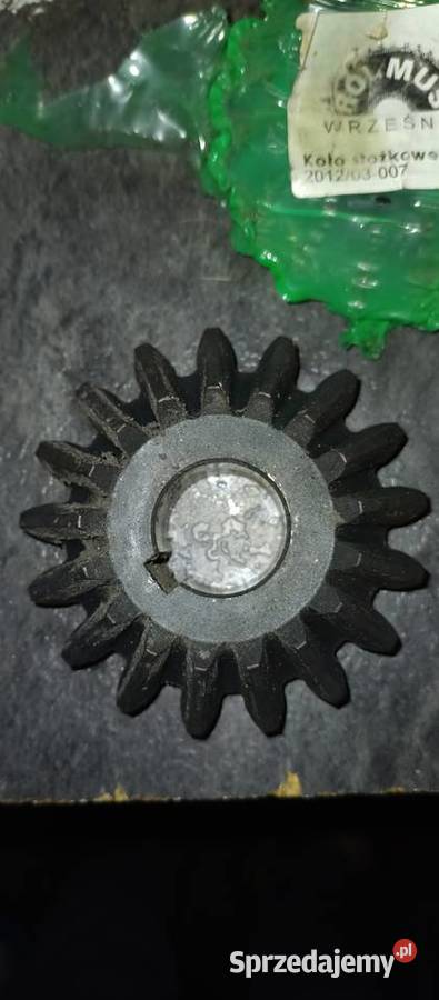 Koło zębate stożkowe wielkopolskie Kalisz