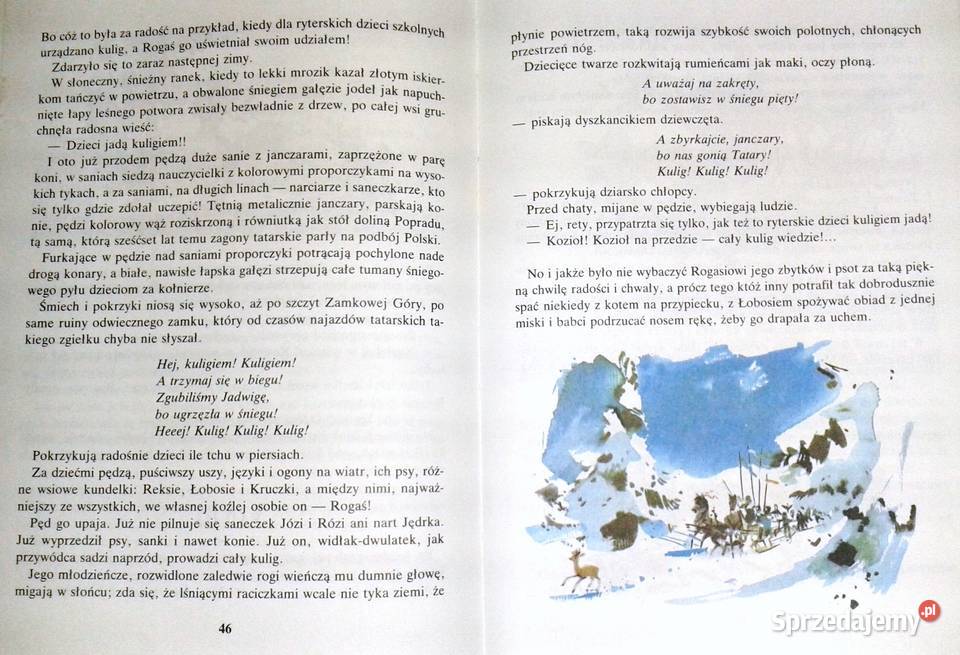 Rogaś z Doliny Roztoki Maria Kownacka Chełm