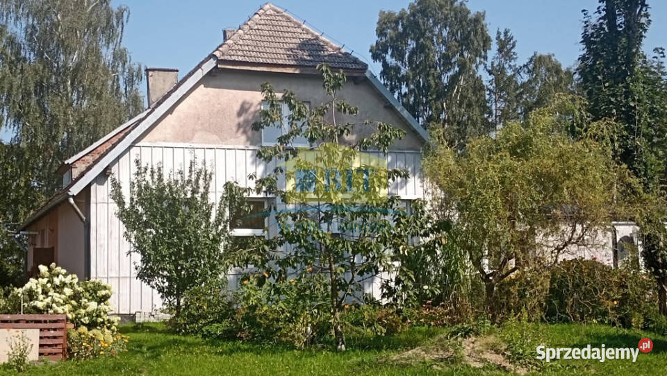 Dom 200m2 można zaadoptować na 3 mieszkania asfalt Sprzedaż Zajączkowo