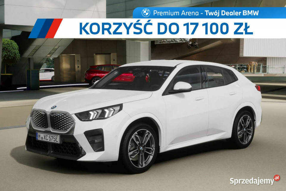 BMW iX2 iX2 eDrive20 Dostępne ręki