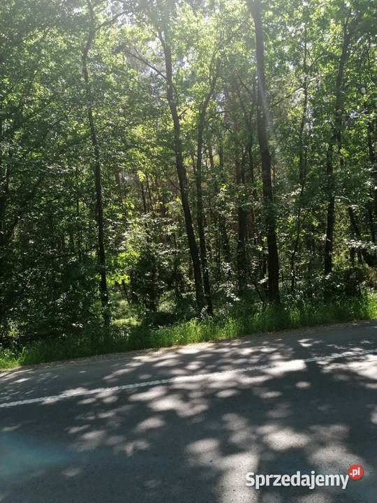 Udział w nieruchomości gruntowej niezabudowanej Parczew