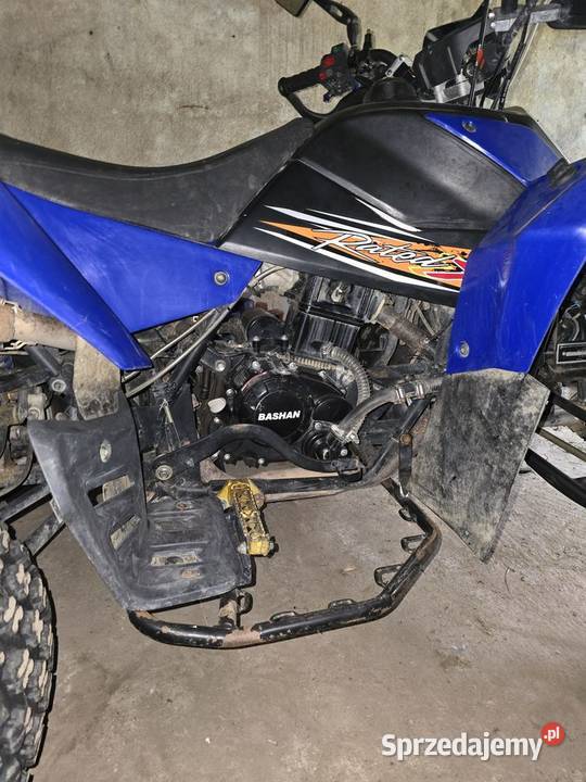 Quad Bashan BS250AS43 Rok produkcji 2019 Bashan