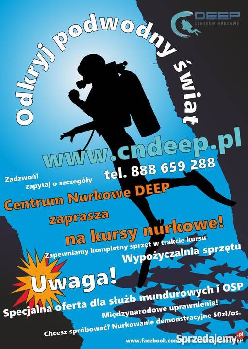 Kurs nurkowania na Kaszubach Pozostałe usługi Gdańsk