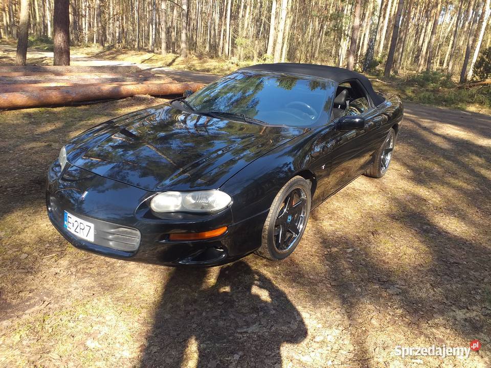 Chevrolet Camaro Cabrio benzyna Strzałkowo