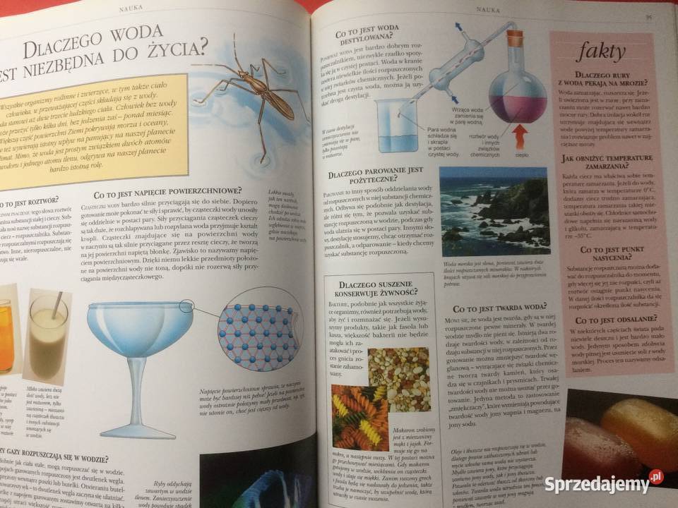 3126 Encyklopedia Szkolna Szczecin