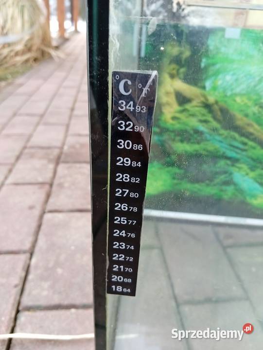 Sprzedam akwarium 60l małopolskie Łososina Dolna