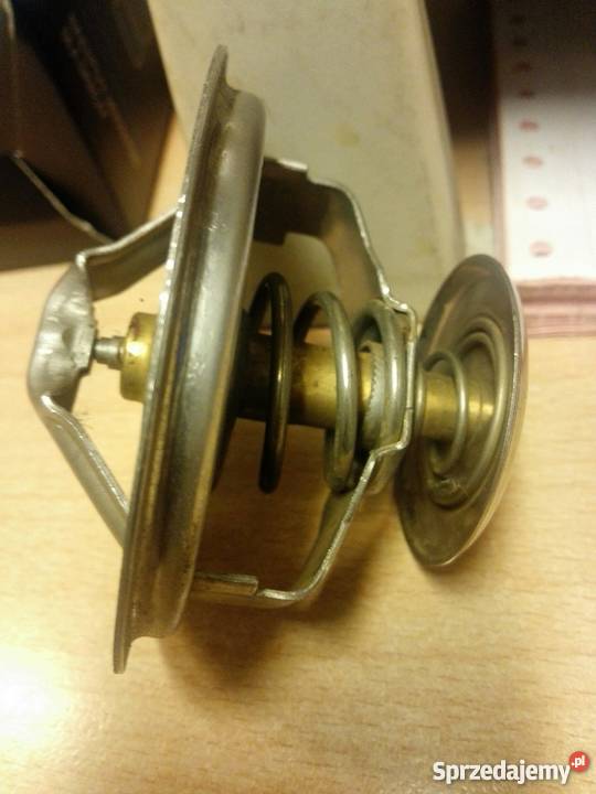 termostat TV194 Renault Magnum pomorskie Gdynia