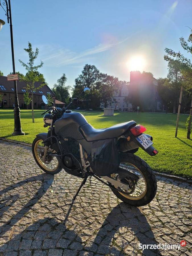 Transalp 600 1997 custom scrambler Wrocław