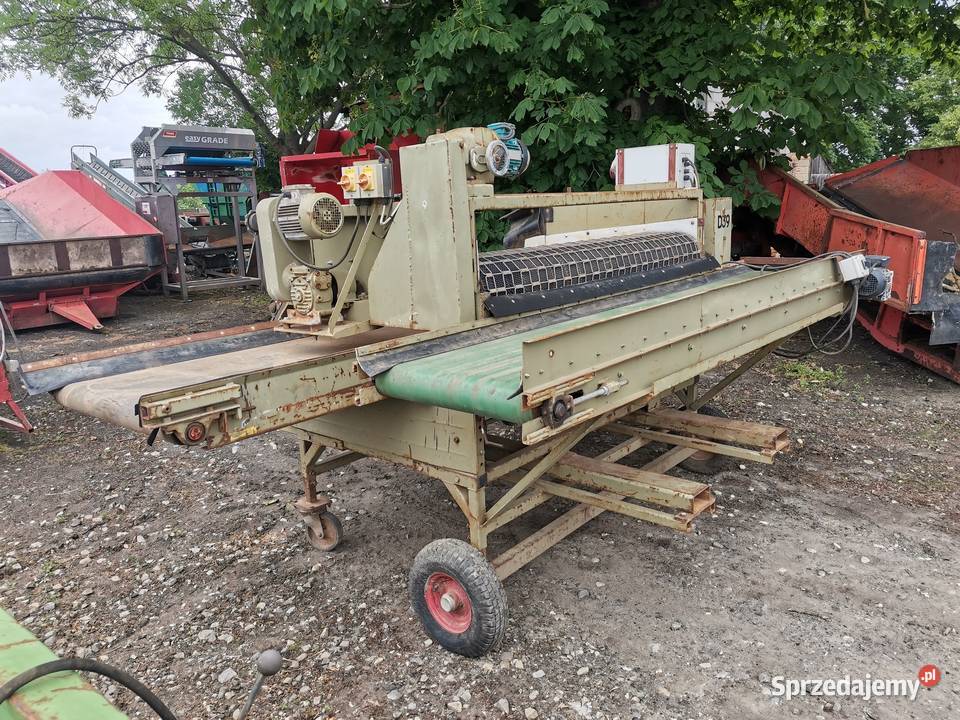 Sortownik obiegowy ziemniaków cebuli buraczków Huta