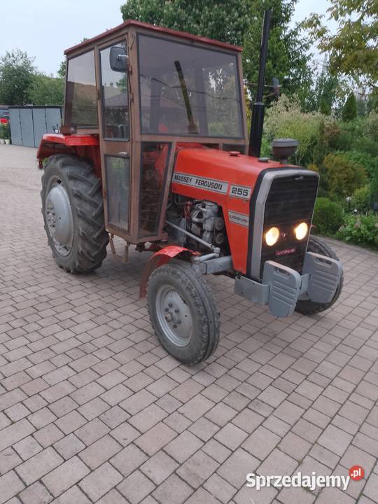 Sprzedam Massey Ferguson z1987r oryginał Pozostałe wielkopolskie Szczytniki
