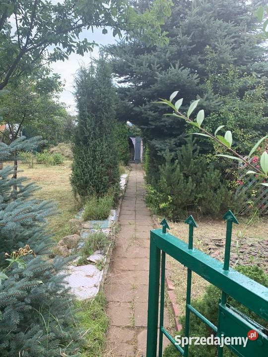 Ogródek działkowy ROD Miejski w Czeladzi śląskie Czeladź