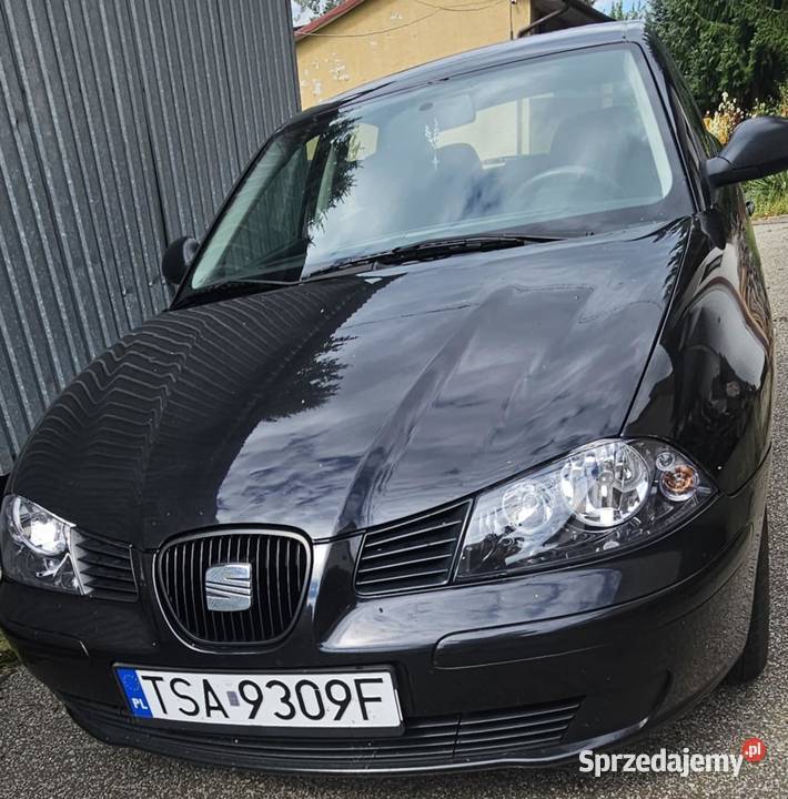 Seat Ibiza 2004