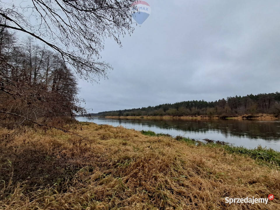 Działka budowlana 5000 m Różan Narew Paulinowo sprzedam