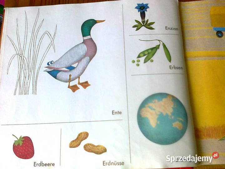 Mein erstes Brockhaus Warszawa sprzedam