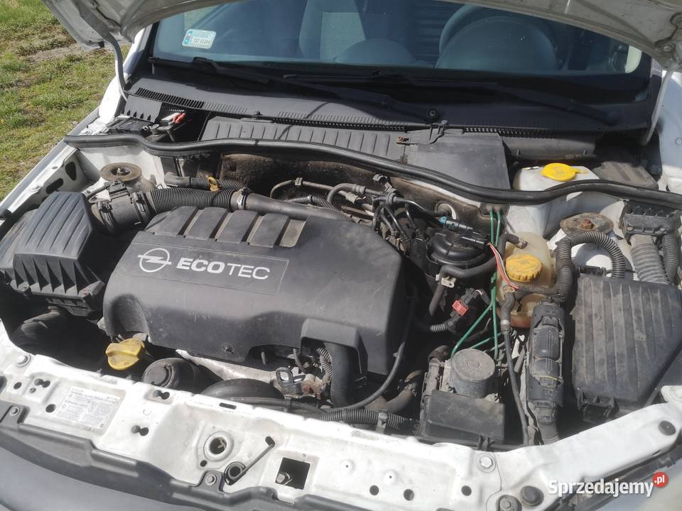 OPEL COMBO CVAN HAK manualna Samochody dostawcze świętokrzyskie Jagodne