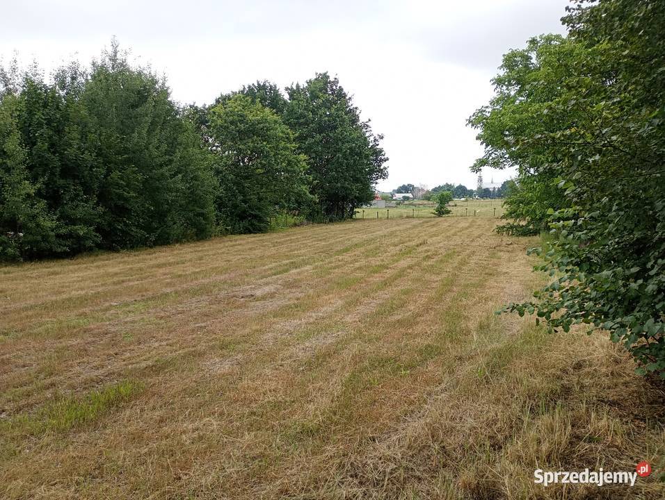 Sprzedam dziłke 1500m2