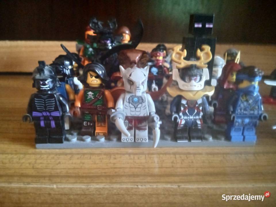 LEGO klocki z dodatkami Okonek