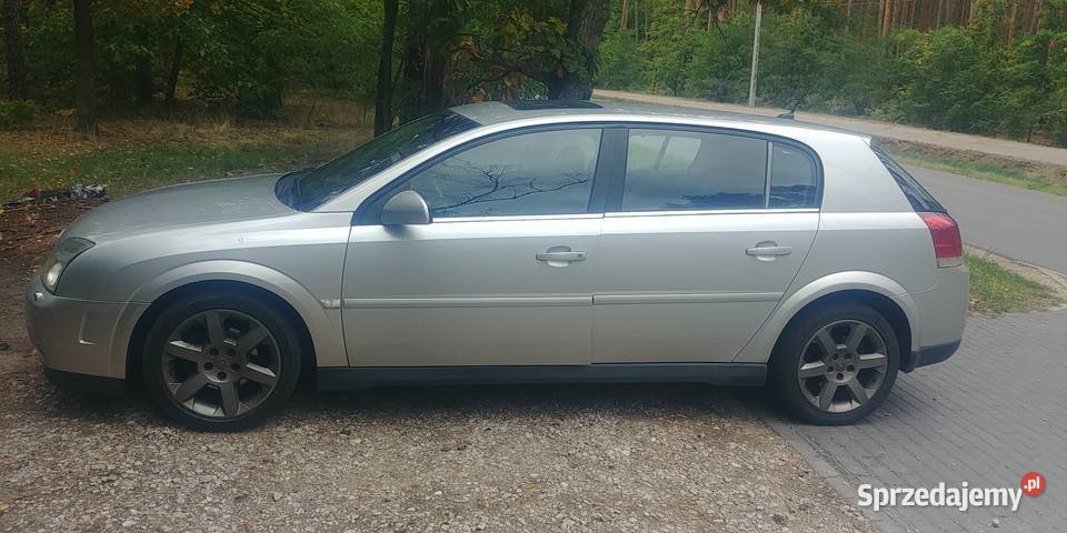 Opel Signum 1.9 CDTi  2004r. zamiana