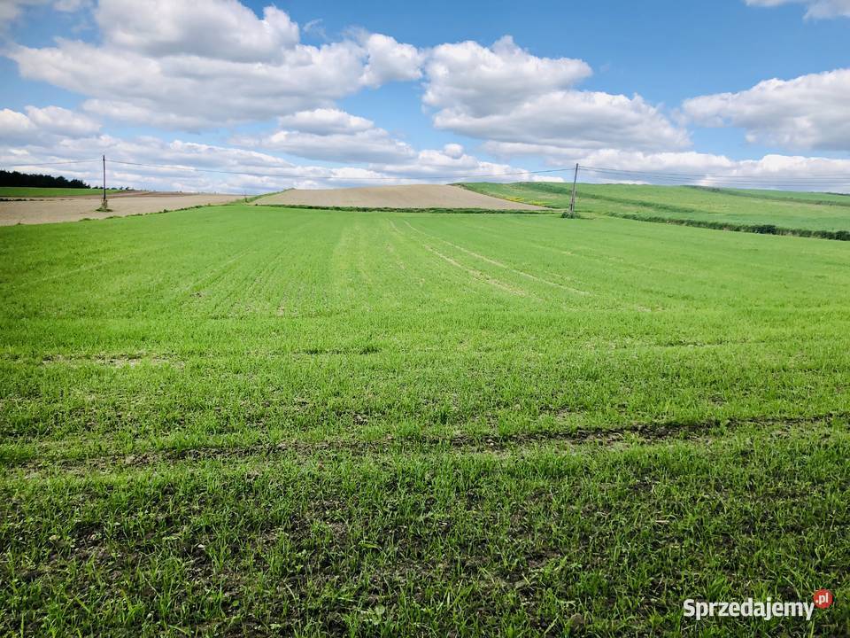 Agroturystykastadnina koni 561 ha z lasem podkarpackie Łówcza