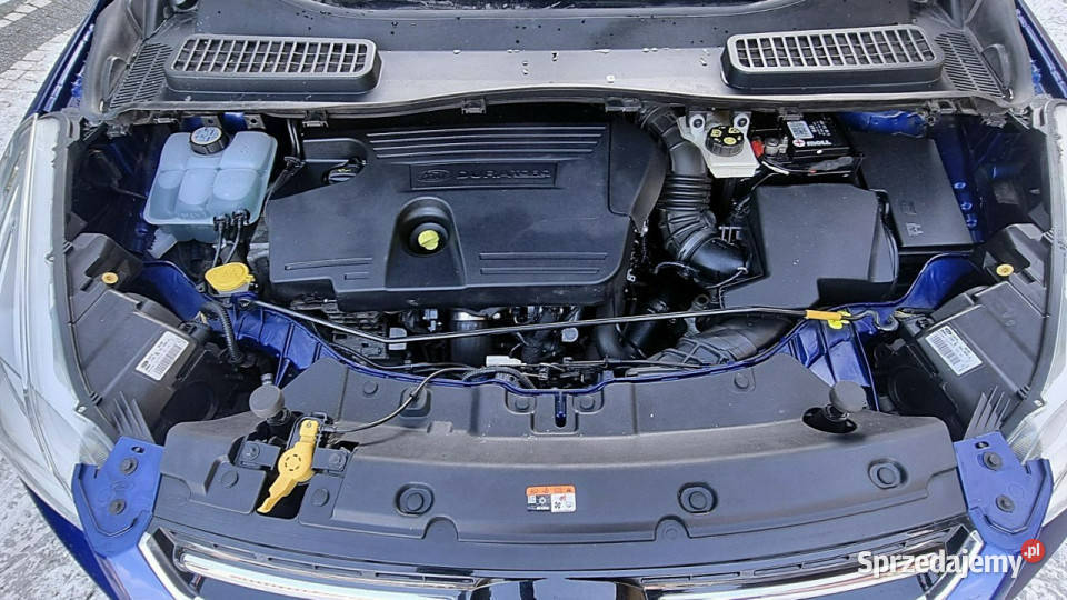 Ford Kuga Serwis PółSkóry 4x4 150 GWARANCJA przyciemniane szyby Płońsk