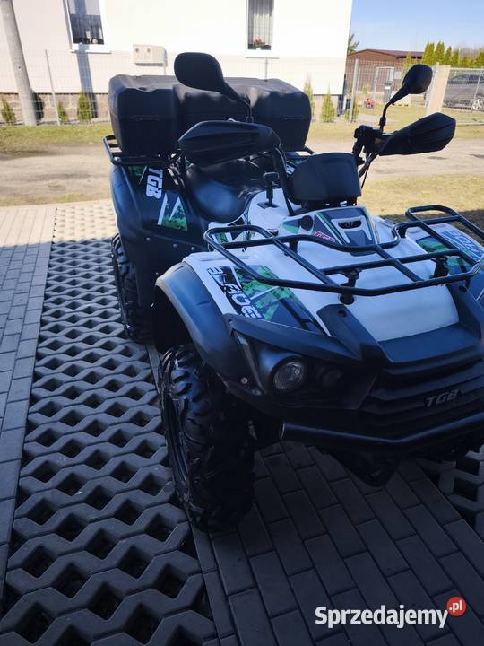 TGB BLADE 6003 Zarejestrowany Wierzchowo