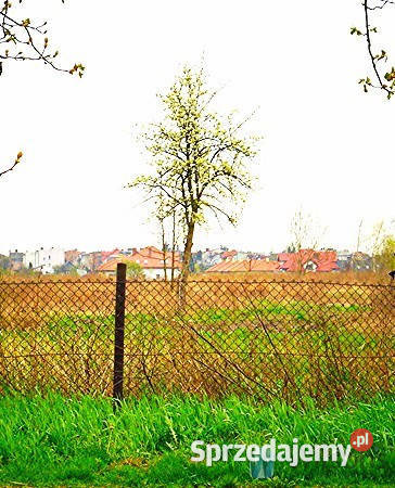 sprzedaży działki Radom Lubelska 35700m2 Sprzedaż sprzedam