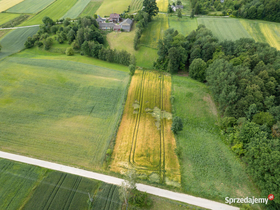 Ustawna działka z WZ 8300m2 Czajęcice świętokrzyskie