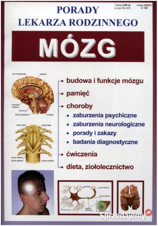 Mózg Porady Lekarza Rodzinnego