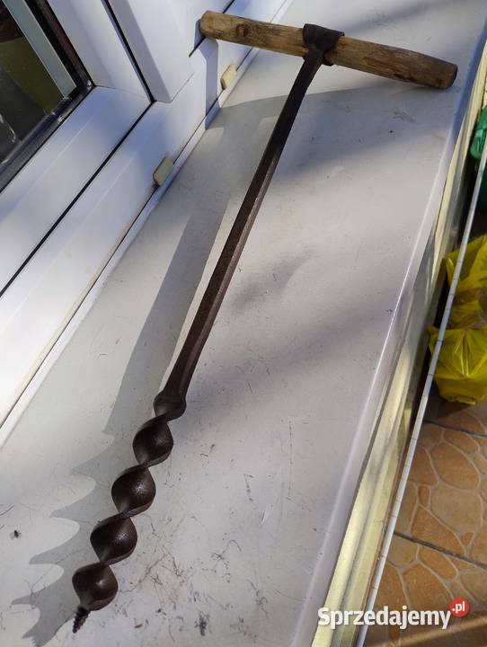 Świder ciesielski Radom